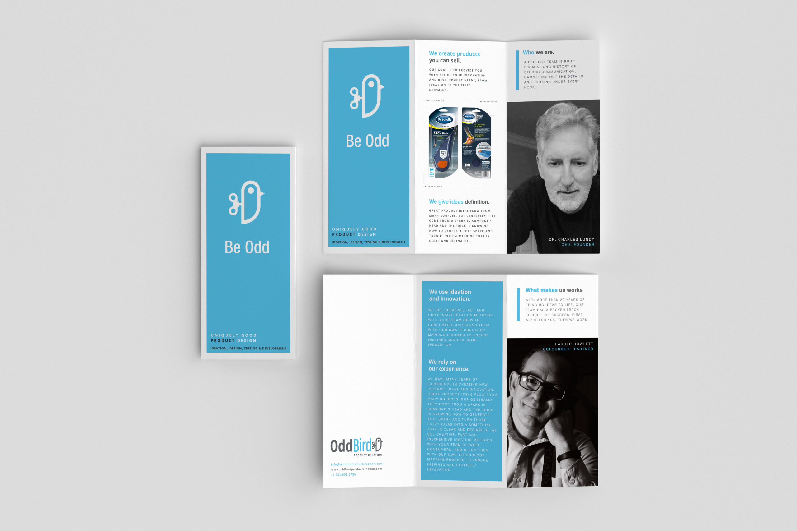 Oddbird tri-fold marketing brochure